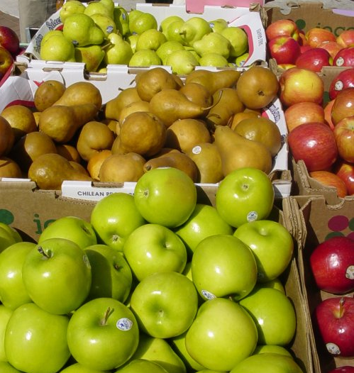 A Magro.hu piactéren eddig almából volt a legnagyobb a választék. Vajon idén is marad ez a tendencia?