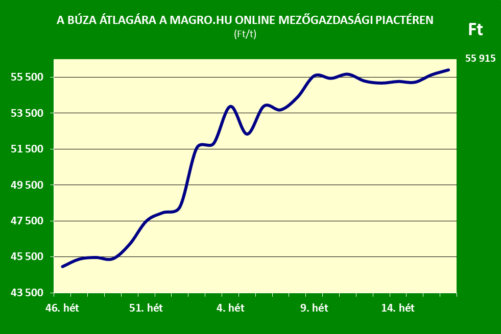A búza átlagárának alakulása a Magro.hu mezőgazdasági piactéren