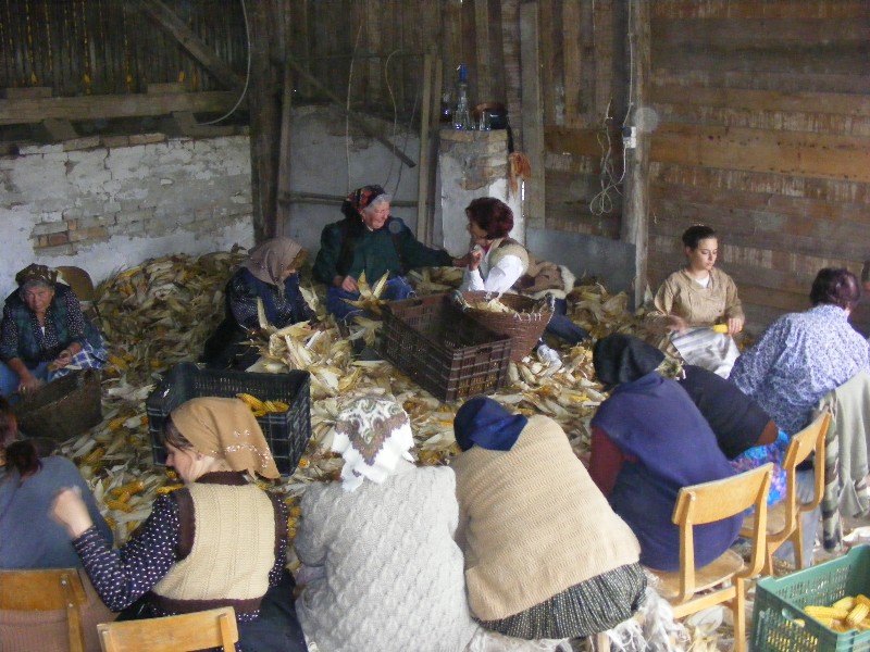 Régen igazi társas elfoglaltság volt a kukoricafosztás. Forrás: dunafalva.hu 