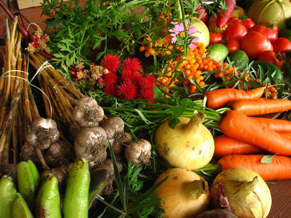 A zöldségfélék ára 5,3 százalékkal mérséklődött 2013 augusztusához képest