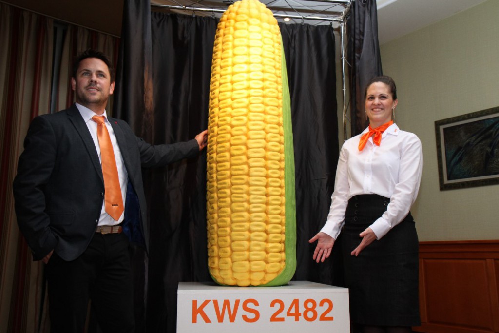Lelepleződött a KWS új kukorica hibridje!
