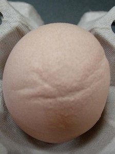 A tojáshéj elvékonyodik, vagy deformálódik a bronchitisz miatt. Fotó: lah.de 