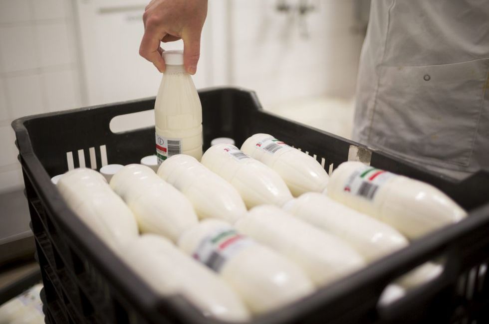 Az unió megpróbálja visszahúzni a szakadék széléről a tejtermelőket