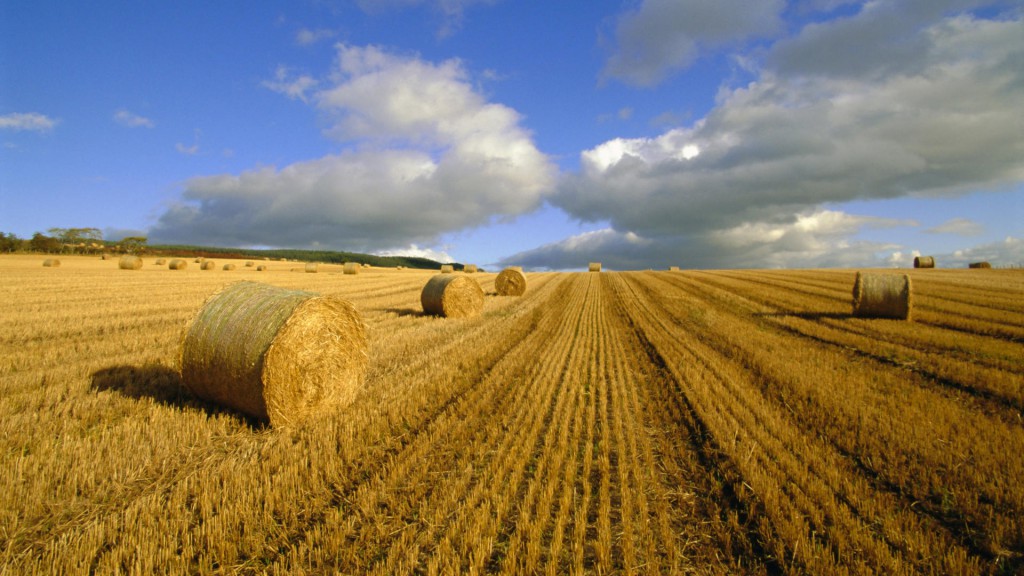 Kitűnő időben zajlanak az őszi mezőgazdasági munkálatok! (Fotó: hdwyn.com)