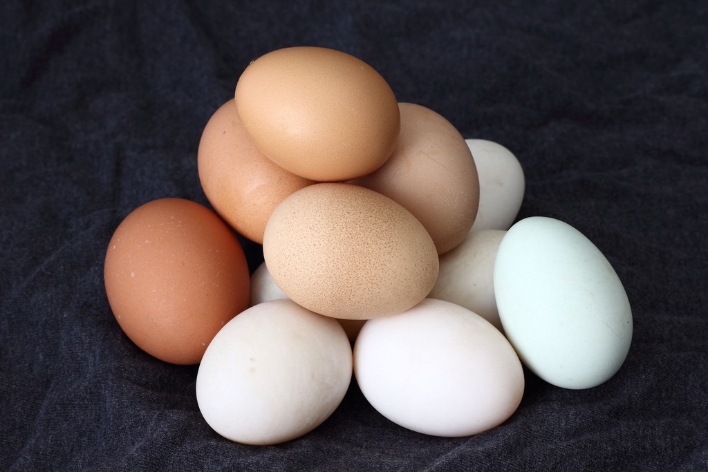 Míg az unióban csökkent, addig hazánkban nőtt a tojás ára