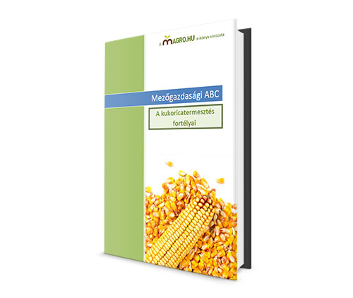Mezőgazdasági ABC - A kukoricatermesztés fortélyai