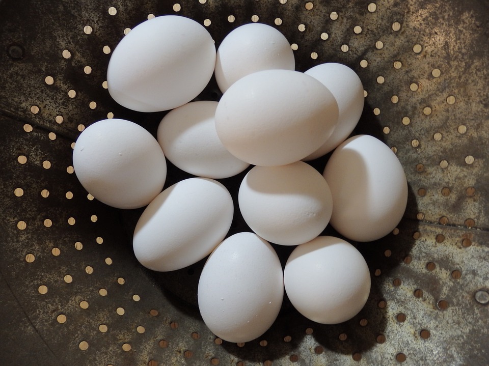 A kisméretű tojások Európában szinte eladhatatlanok, étkezési célra jóformán nem is használják 