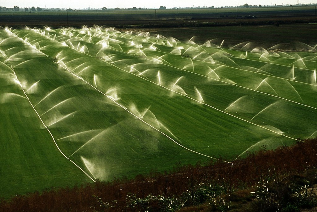Így is lehetne növényeket termeszteni... (Fotó: californiawaterblog.com)