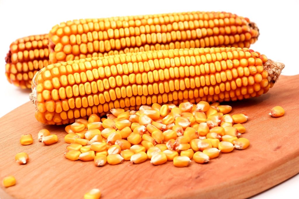A mezőgazdaság kibocsátása 2017-ben a kukorica miatt került a mélybe (Fotó: Pixabay, 4125745)