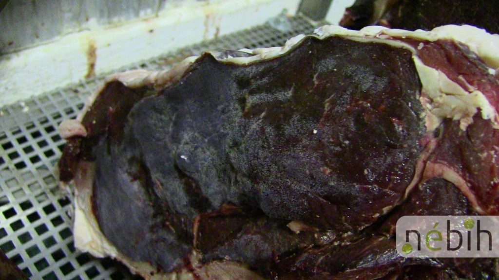 Penészes húst találtak az ellenőrzés során (Fotó: Nébih)