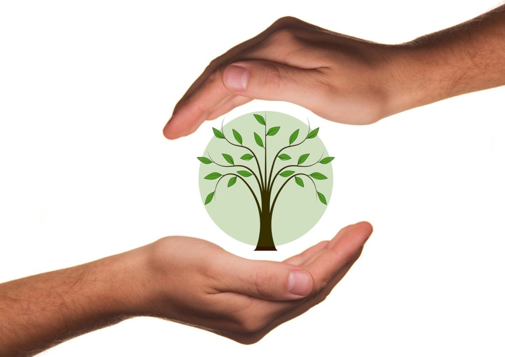Környezetvédelmet érintő eseményekről lehet bejelentést tenni egy applikációval (Fotó: Pixabay, geralt)