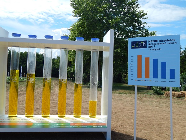 A napraforgóban végzett kísérletek látványosan mutatják, mennyi a növény olajtartalma az egyes hibrideknél a Syngenta Magyarország dalmandi Szer-Show rendezvényén