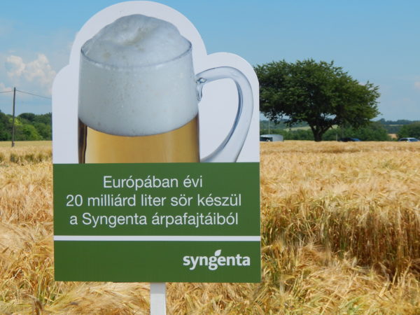 A világhírű ír sör alapanyagai között megtalálható a Syngenta árpája