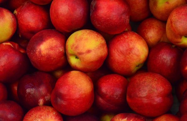 Két újabb feldolgozóüzemmel állapodtak meg a gazdák az ipari alma áráról (Fotó: Pixabay, Pexels)