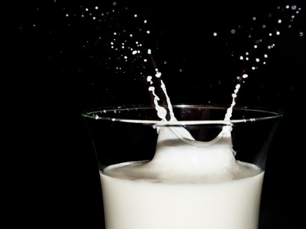 Példa értékű döntés született egy dán tejipari vállalatnál (Fotó: Pixabay, manolofranco)