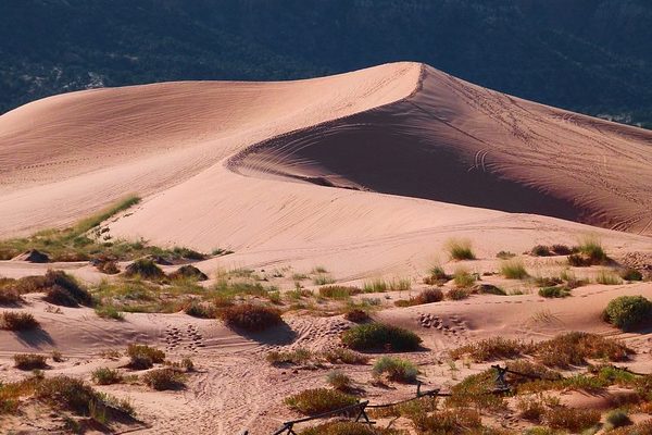 A klímaváltozás enyhítésére helyi intézkedések és összefogás szükséges, hogy ne legyen Sivatag Somogyban - képünk illusztráció