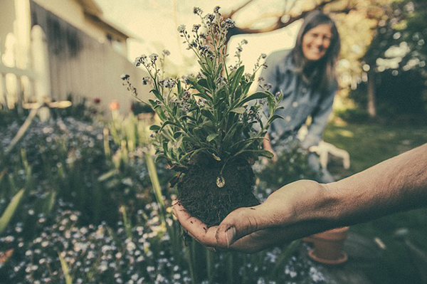  Segíti az egészséges életmód megvalósítását a kertészkedés