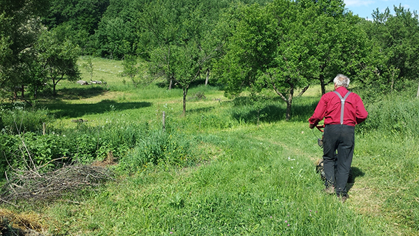 Gyulai Iván 2018. májusában füvet nyír a gömörszőlősi fenntartható falu kertjében