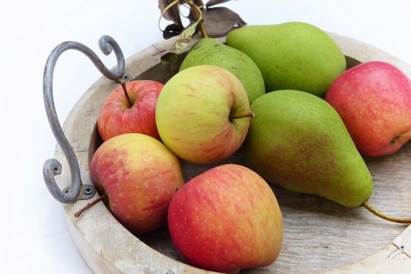 A tűzelhalás betegség hamarosan megjelenhet az almatermésű gyümölcsösökben (Fotó: Pixabay, silviarita)