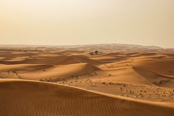 A Nagy Zöld Fal az elsivatagosodott területeket töltené meg újra élettel és vízzel