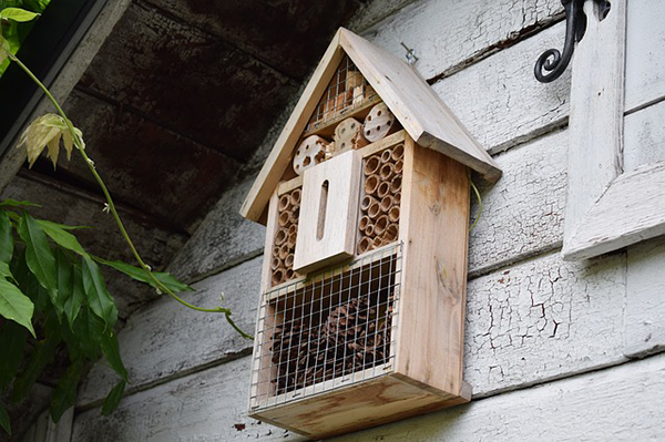 A méhecskehotel a hasznos vadon élő beporzóknak ad szállást, és utódnevelő helyet 