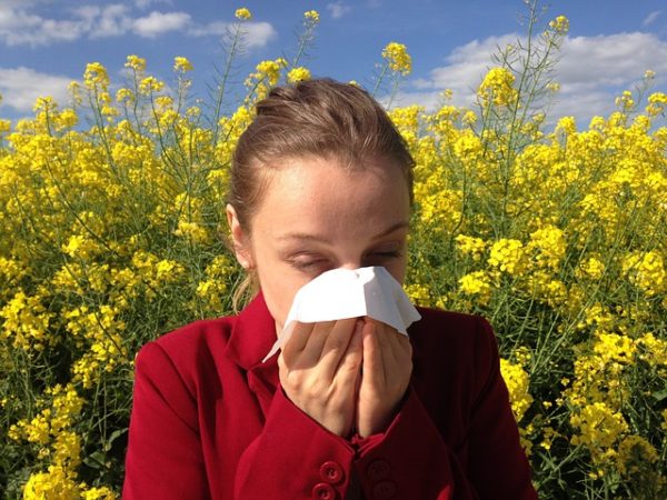 A kutatás szerint a pollenallergia egyre hosszabb lesz, ráadásul súlyosabbá is válik a klímaváltozás következtében
