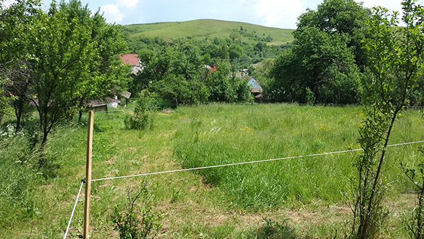 A villanypásztorok elhelyezésére és a hozzájuk közel lévő ágak eltávolítására is figyelni kell - képünk Gömörszőlősön, a Borsod-Abaúj-Zemplén megyei fenntartható faluban készült