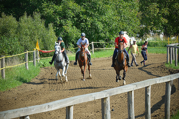 Helyi, Baranya megyei lovas nyerte meg a Szentlőrinci Vágta lóversenyt - Fotó:, illusztráció BMVK-archív, a 2018-as Szentlőrinci Gazdanapok rendezvényről