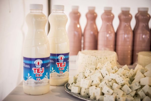 Közel 750 millió forintot költöttek a tejfeldolgozó üzem létrehozására Petőfiszálláson - Fotó: Pelsőczy Csaba MTI