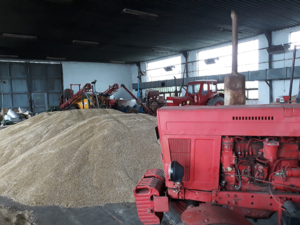 Bűnös ügyletek Komárom-Esztergom megyében: 3 milliárdos károkozással vádolnak tatabányai gabonakereskedőket - képünk illusztráció