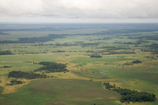 Llanos de Moxos szavannája - Fotó: Samuel M Beebe, Ecotrust/Samuel M Beebe, Ecotrust via Qubit