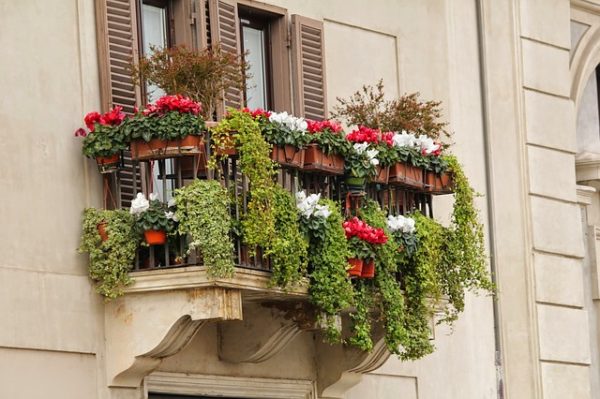Ha nem áll rendelkezésünkre kert, de mindenképp szeretnénk növényeket termeszteni, akkor az erkély is kiváló megoldásként szolgál. (Fotó: Pixabay, Jeglaat)