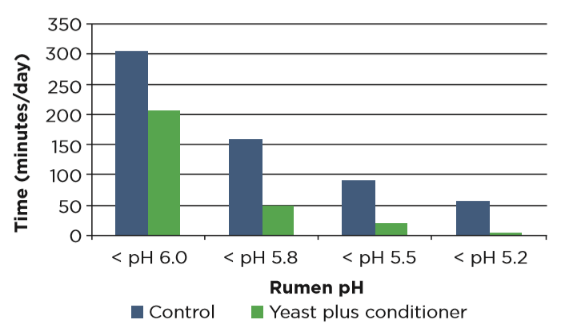 3. ábra: Az Acid Buf és a Vistacell alkalmazásának hatása a bendő pH-jára a kontrollal összevetve (Forrás: Schothorst Feed Research, 2014)