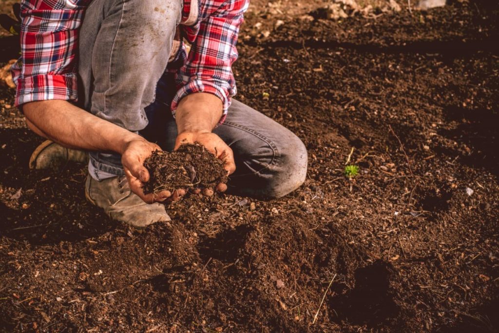 A YIELD SERVICE szolgáltatásra alapozott tápanyag-gazdálkodási program első lépése a talajmintavétel