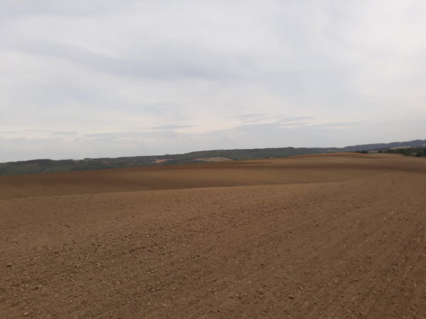 Egy agrárportál szerint hiányosságok tapasztalhatóak a földértékesítés nyilvános közzétételi szakaszában - Fotó: Magro.hu, CSZS, Regöly, Tolna megye