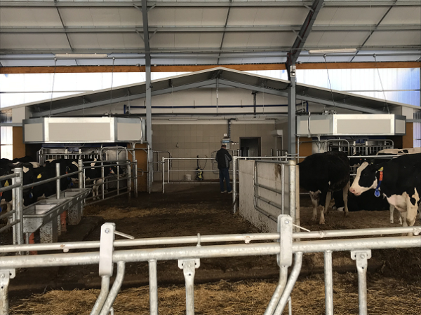 Megvalósul a precíziós állattenyésztés a kaposvári egyetem épülő tehenészetében is