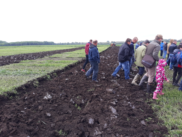 Több millió magyar hektárnak lehet új gazdája az osztatlan közös földtulajdon rendezésével - Fotó: Magro.hu, CSZS, Mezőfalva