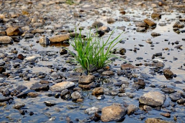 Magyar kutatók vezetésével készült új módszer a talajhidrológiai tulajdonságok meghatározásához, könnyebben elemezhetők a vízgazdálkodási adatok