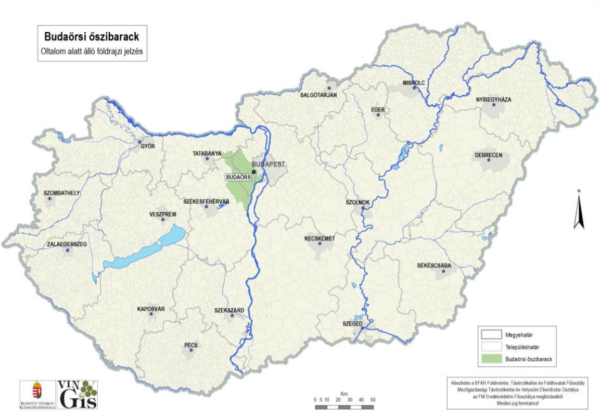 A zölddel jelölt területen terem a Budaörsi őszibarack