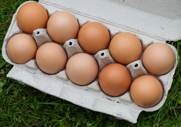 Nagyjából 20 százalékos tojásdrágulás várható a Magyar Tojásszövetség szerint