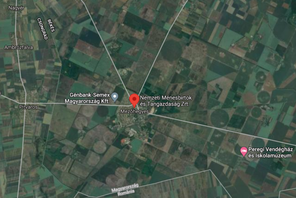Az öntözésfejlesztés már megkezdődött Mezőhegyes környékén: a körök a térképen az öntözőrendszerek munkáját mutatják - Fotó: Google Térkép