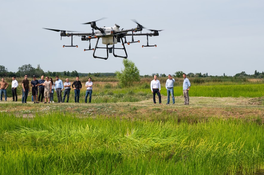 Szükség esetén drónokkal történik a permetezés Szarvason - Fotó: Babák Zoltán