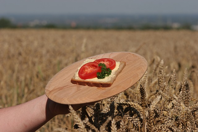 Tavalyhoz képest több, mint 14 százalékkal nőttek a mezőgazdasági árak Magyarországon