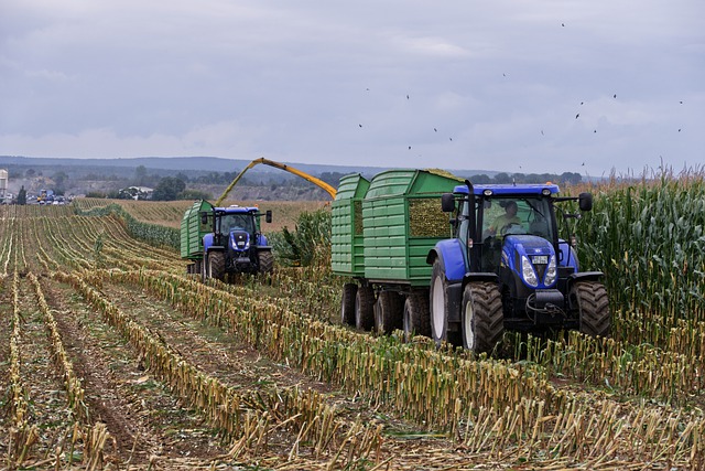 Kénytelenek változtatni a gazdák: kevesebb kukoricát termeszthetnek majd