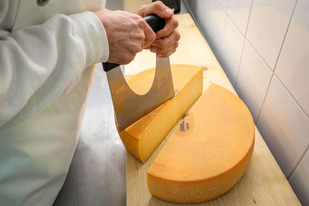 Így vágják fel az érlelt sajtot Dunaharasztin - Fotó: Paraszt Sajt FB