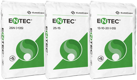 Az ENTEC® inhibítor késlelteti az ammónium-nitrogén nitrát-nitrogénné történő átalakulását, így akkor szabadítja fel a nitrogént a növények számára, amikor az a leghatékonyabban tud hasznosulni