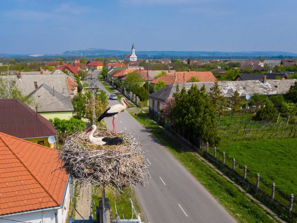 Több mint 2800 madárpárnak adhat otthont az E.ON fészektartó rendszere Magyarországon