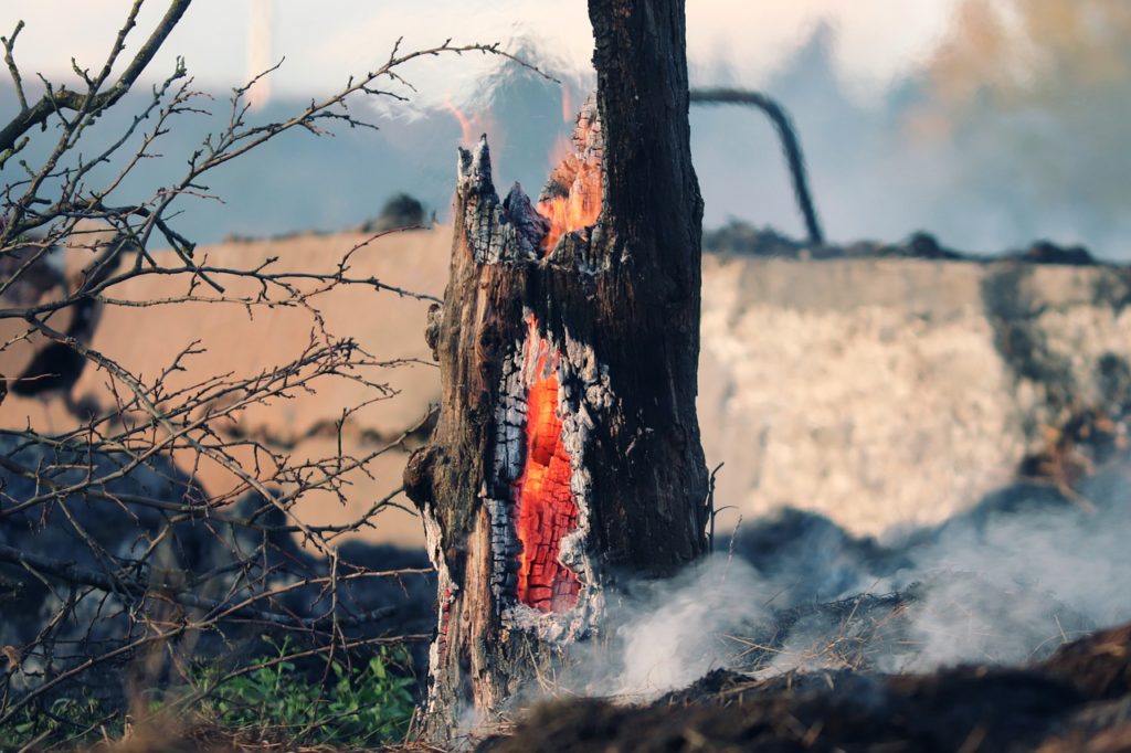 A Nébih a Belügyminisztérium Országos Katasztrófavédelmi Főigazgatóságának egyetértésével 2022. március 10-től országos tűzgyújtási tilalmat rendelt el
