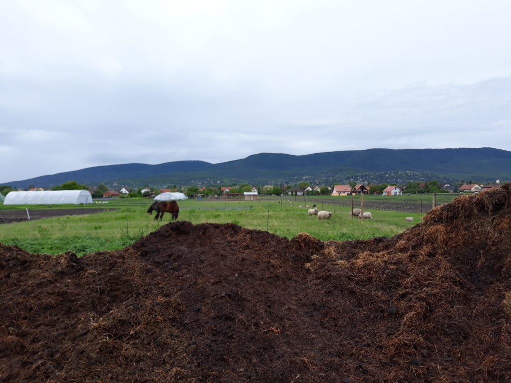 Megfizethetetlenné válhatnak a bioélelmiszerek a csökkenő kereslet és az ellátás nehézségei miatt - Fotó: Magro.hu, CSZS, Tahitótfalu