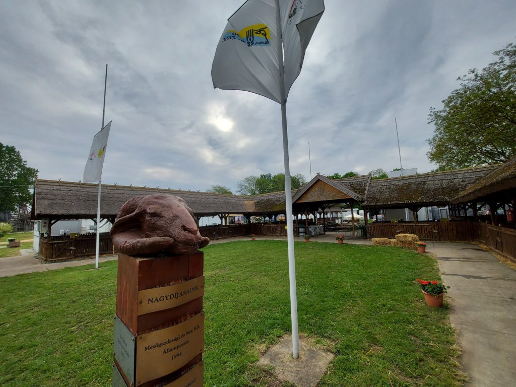 Felhős háttérrel, lobogó zászlóval a szobor és az épület - Fotó: Magro.hu, CSZS